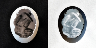 Illustration for article titled How to build a pinhole camera inside an egg